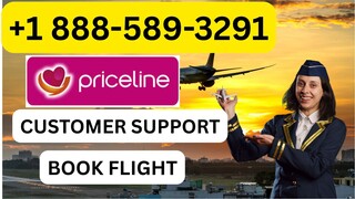 Full-® { {List}} of Pricelin𝓮℗ CUSTOMER® SERVICE Contact Numbers – The Ultimate Official Guide