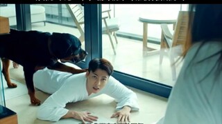 你保护了她一辈子，做的很好，今后换我来保护她了