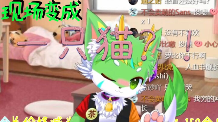 【直播切片】主播发生甚么事了？撸猫在吗？错！主播本来就是一只猫！