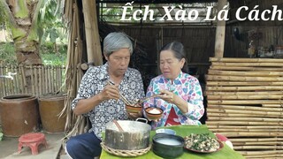 Ếch Xào Lá Cách Thèm Từ Lâu Rồi Giờ Mới Được Ăn | CNTV #39