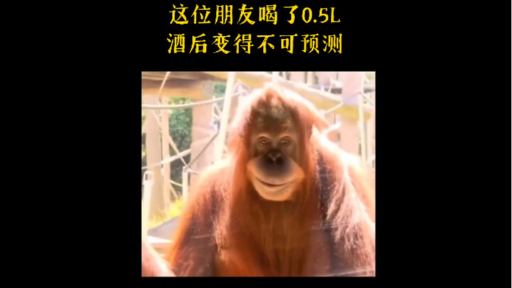 هذا الصديق أصبح غير متوقع بعد شرب 0.5 لتر من الخمر