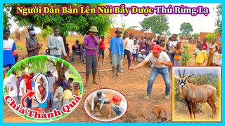 Hùng KaKa ll Người Dân Bản Làm Bẫy Lên Núi Bắt Được Thú Rừng Lạ ?