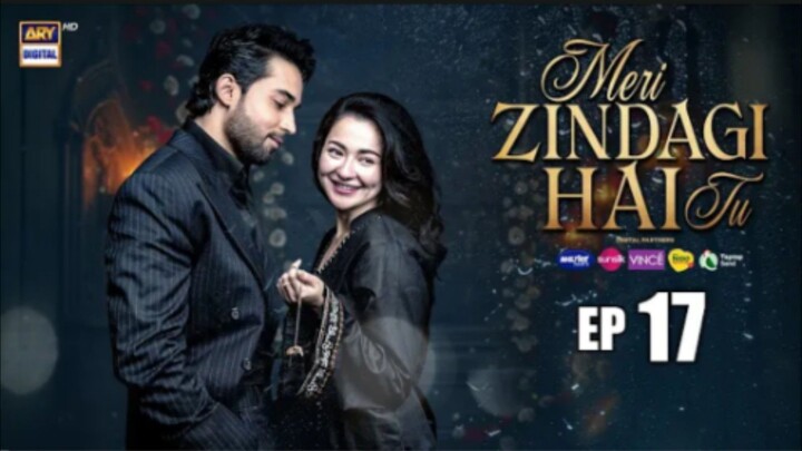 Meri Zindegi Hai Tu episode 17