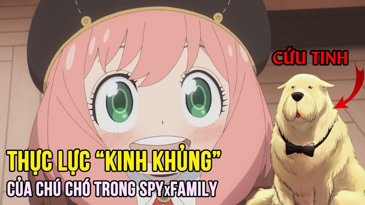 SPY×FAMILY - Tập 13, Anya xém bị sát hại, nhờ chú chó thông minh cứu, có thực lực "kinh khủng"