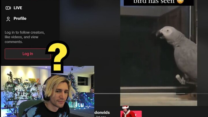 xQc ชมนกแก้วที่มีประสบการณ์สูง