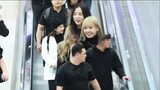 Blackpink's four girls' weird and interesting things at the airport