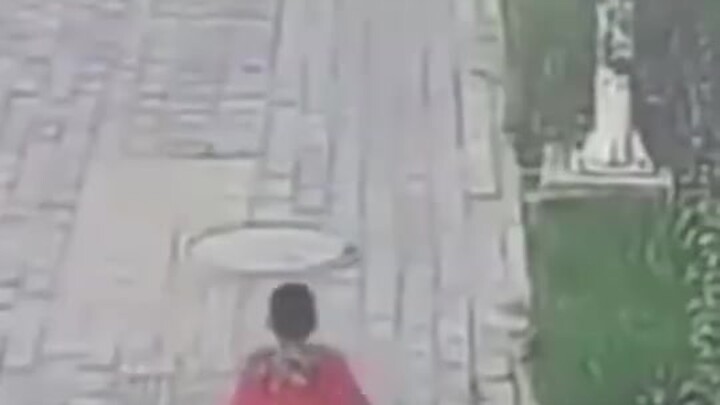 Kebahagiaan memancar dari layar! Bocah menggemaskan memberi hormat kepada polisi, lalu menerima bala