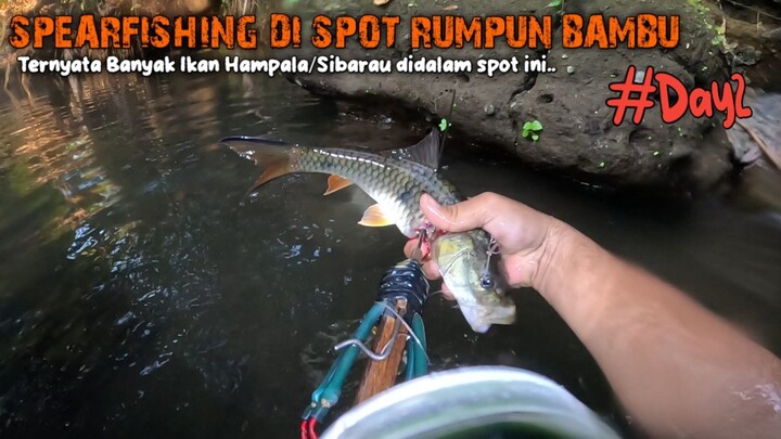 Banyak ikan hampala disini #spearfishing #fishingadventure #fishingcamping