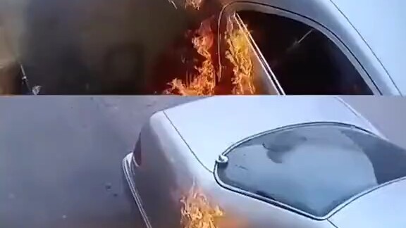 What a smart cookie!