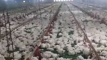 pano ba ang buhay sa farm ♥