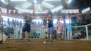 Hatch vs Black first fight win