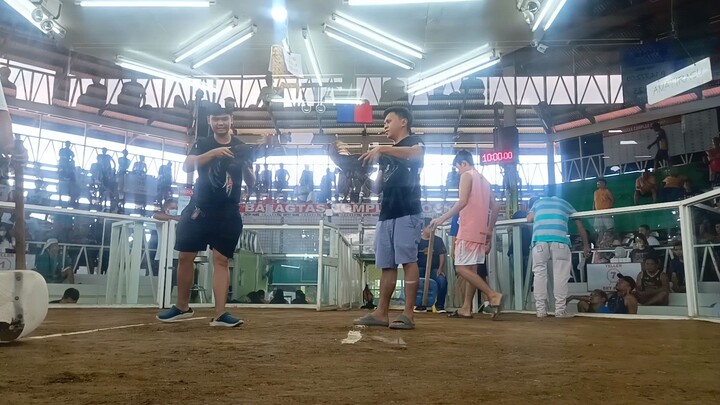 Hatch vs Black first fight win