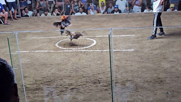 YLH - BICBA 2nd Leg 3rd fight Win