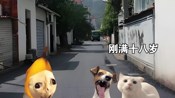 Khi đang dạo phố thì phát hiện thằng bạn đã có người yêu