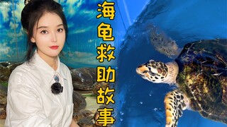 Today is World Turtle Day. Let's see the turtles together.