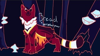 Bread || Tigerstar Pmv (tw in dis)