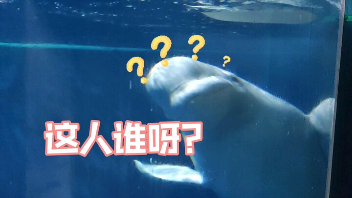 “Soal Si Paus Putih yang Tak Mengenali Saya Karena Saya Memakai Masker”