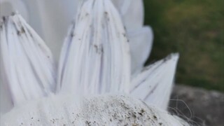 当我想还原白天的月人，最后还是决定搞点抽象算了。。