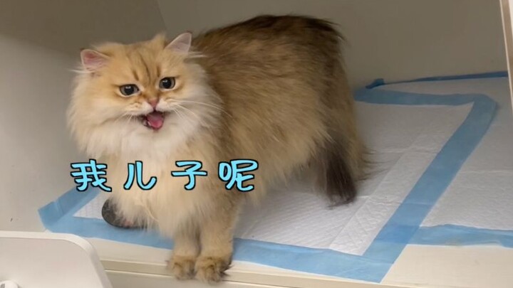 Our independent women are awakening to maternal love!