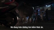 Hành Tinh Trái Đất 3 EP 7 [Sub Việt]