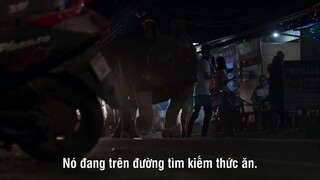 Hành Tinh Trái Đất 3 EP 7 [Sub Việt]