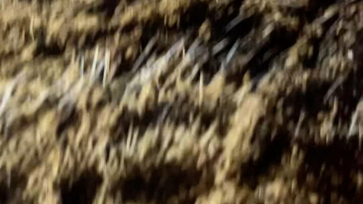 มันแค่ไม่ชัดเจนเท่านั้น แต่ก็ยังมีอยู่บ้างนะ