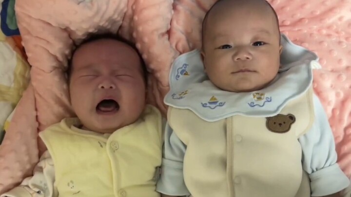 Anak: Dengan level seperti ini, masih ingin bersaing dengan saya dalam perebutan harta warisan? Dia 