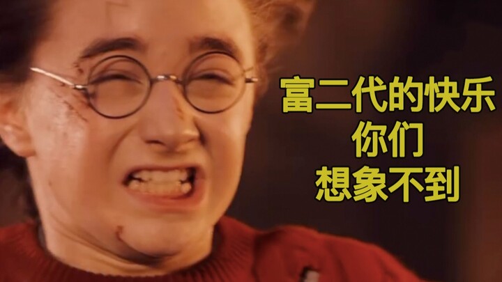 哈利波特：富二代的快乐，你们想象不到啊！