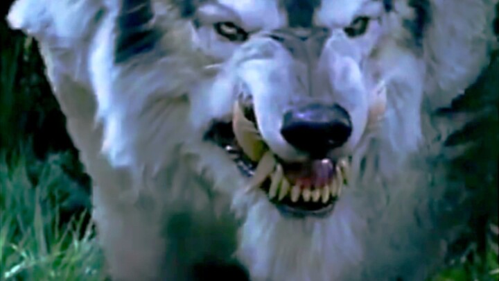 “The Overwhelming Presence of a Top Predator”