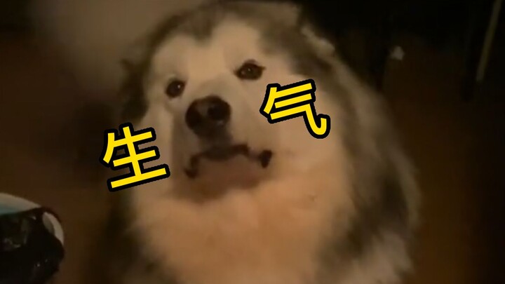“ 像极了我女朋友生气的样子 ”