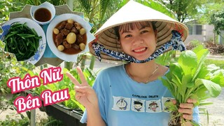 #125: Thu hoạch cải xanh luộc chấm nước thịt kho trứng ngon bá cháy @Tiên Hồ TV