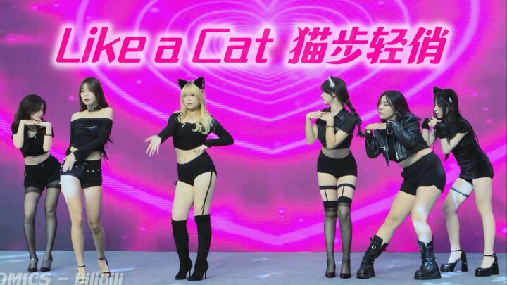 【จิตใจร้าย Baddie! AOA เดินแบบแมวอย่างน่ารัก】โร้ดโชว์ เซ็กซี่เหมียวดำสะกดใจ แอบฟังเพลงใหม่ของ IVE #K