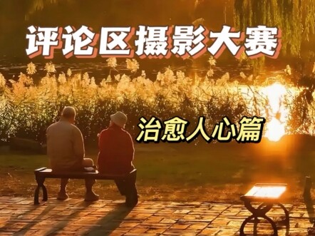 Tổng hợp những tác phẩm xuất sắc nhất từ cuộc thi ảnh trong phần bình luận: từ những lời phê bình sắ