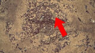 Som ET - 59 - Mars - Perseverance Sol 874 - 2