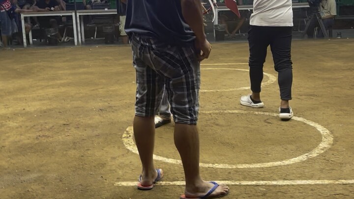 White kelso @ Manila arena