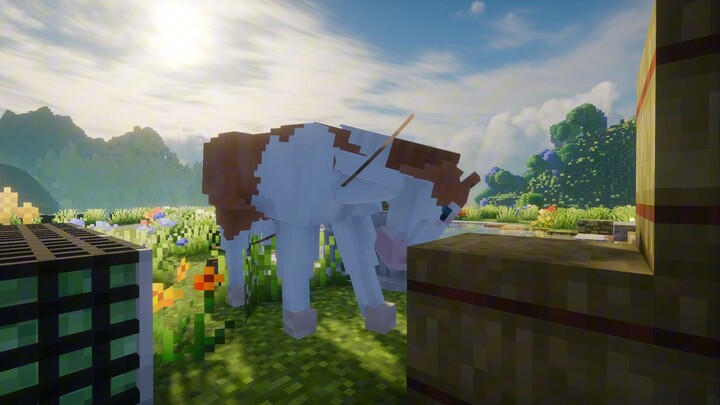 Nature Journey Season 2: Building a Vegetable Garden and a Stable
