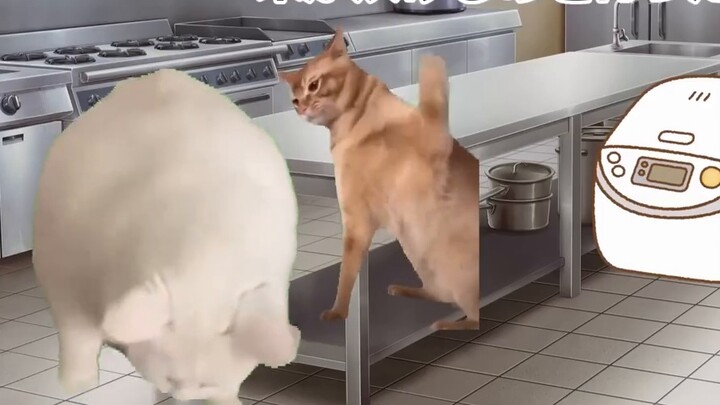 [Cat meme] The day I forgot to steam rice while working at a beef donburi restaurant, causing it to 
