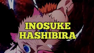 BUKAN BABI BIASA ❗❗❗