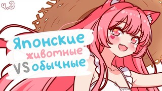 ต้นฉบับ vs. ฉบับผู้หญิง 🐱🌸