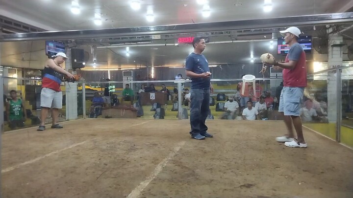 my personal breed!! pure kanawayon unscratched vs Red kelso.#kanawayon #sabong #derby