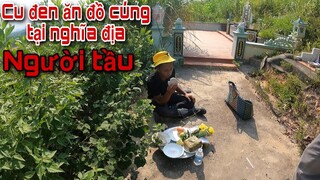 Kinh Hoàng Trước Cảnh Tượng Cu Đen Ăn Đồ Cúng Giữa Ngày Mùng 1 Tại Nghĩa Địa Người Tàu