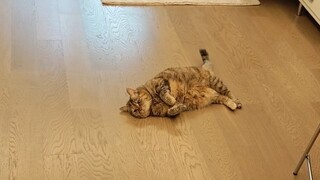 นอนอยู่บนพื้นรอแม่มาเก็บฉัน