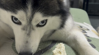 感觉我被他耍了