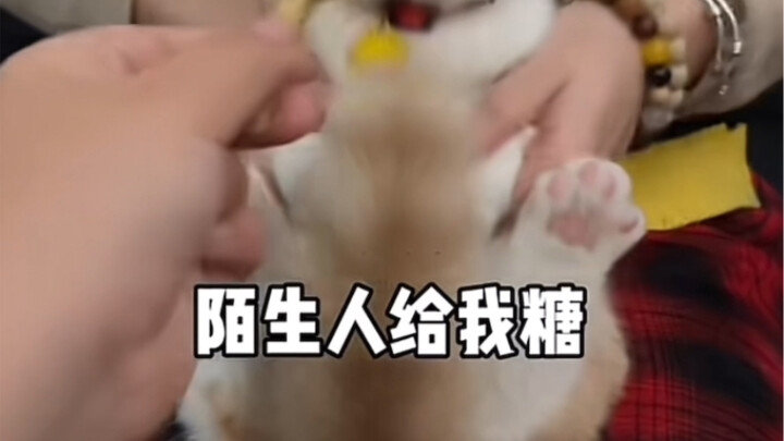 คนแปลกหน้าให้ลูกอมฉัน คุณพ่อคุณแม่ที่แท้จริง!