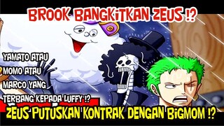 KEMAMPUAN BROOK AKAN BANGKITKAAN ZEUS UNTUK NAMI !? - [KOMENTAR NAKAMA]