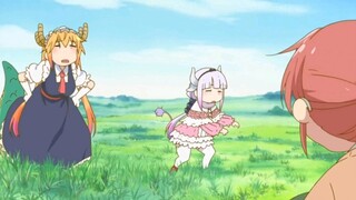 Kangna-chan đang lao tới! Bạn đã nhìn thấy nó chưa?