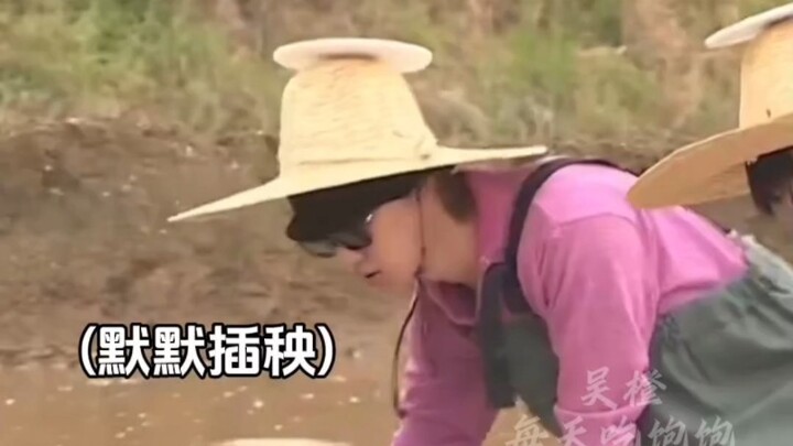 【شو مينغهاو】"تلك الجينات الصينية المطبوعة في عظامهم" (حصر جميع جوانب الثقافة الصينية التي نقلها شو م