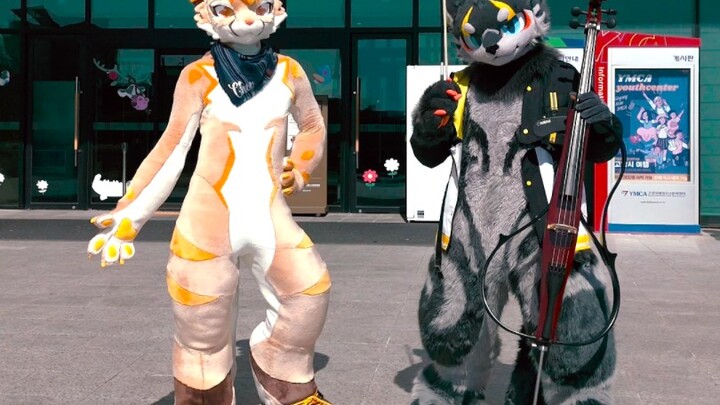 أخيرًا تمكّن "APT" من تصوير فيديو مع الأخوين من عائلة Larsen! نحن نرتدي زي الحيوانات من نفس الاستودي