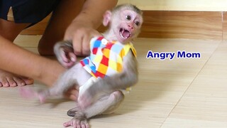 OMG!! Little Monkey Maki crying seizures very loudly angry Mom Not provided Milk For Him