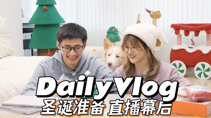 Daily Vlog | A Day in My Life · Christmas Prep | Family BBQ · Pet Christmas Decorations · Christmas 